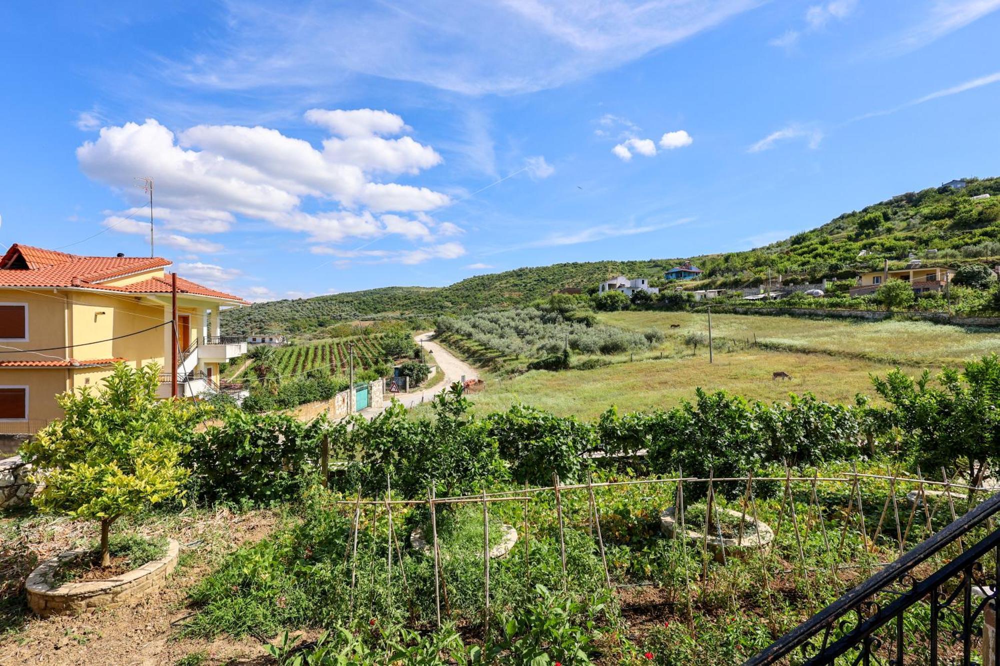 Villa Xherimeja Family Oasis Berat Kültér fotó