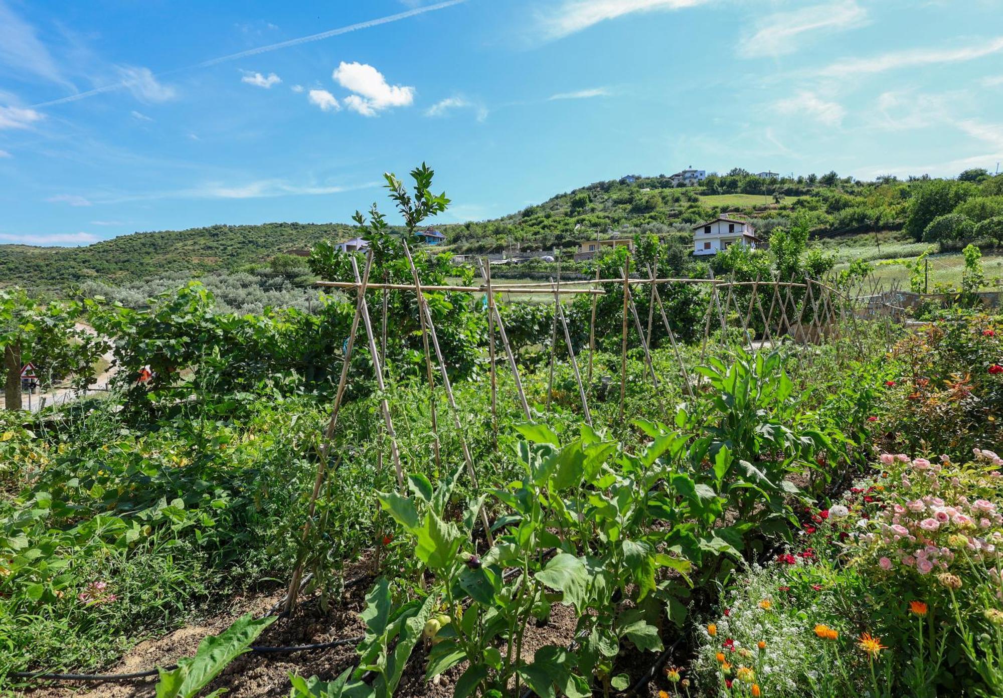 Villa Xherimeja Family Oasis Berat Kültér fotó
